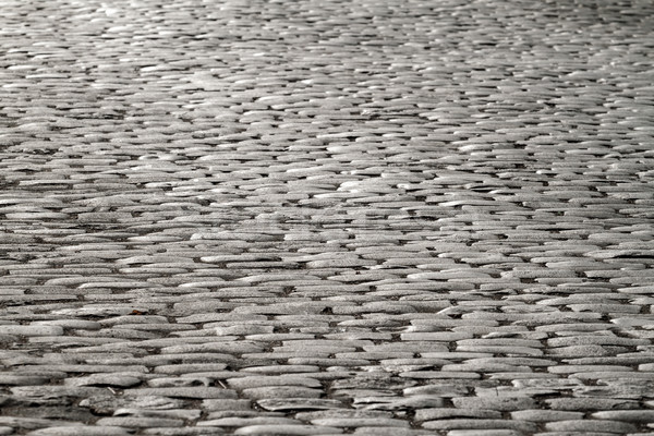 Cobblestones illuminated by moonlight Stock photo © fogen