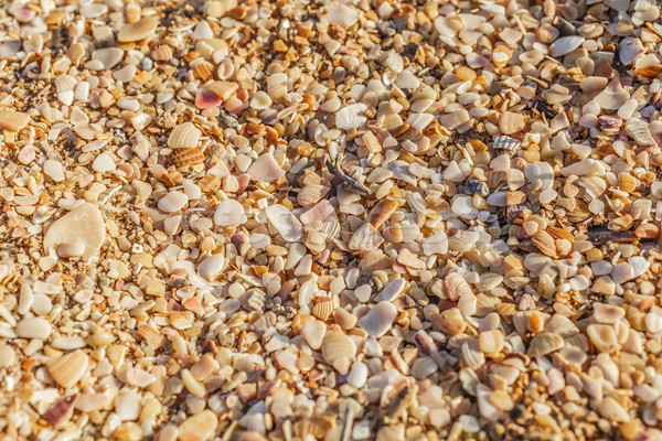 Sea sand Stock photo © fogen