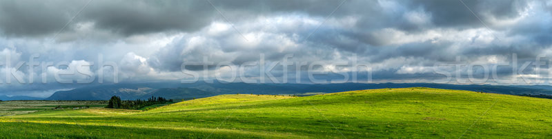 pasture on a mountain plateau Stock photo © fogen