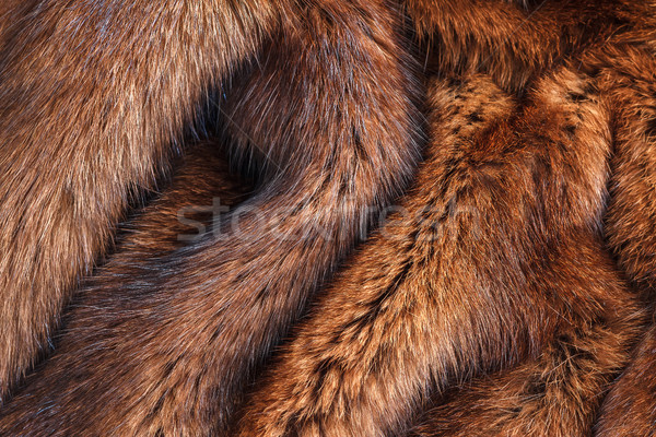 Naturalnych futra ciepły płaszcz poziomy Zdjęcia stock © fogen