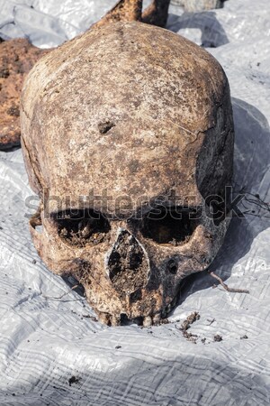 Skeleton remains of a buried unknown victim Stock photo © fogen