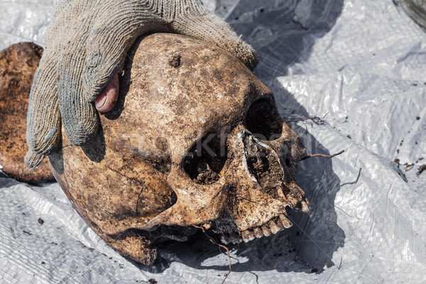 Skelett begraben unbekannt Opfer menschlichen Knochen Stock foto © fogen