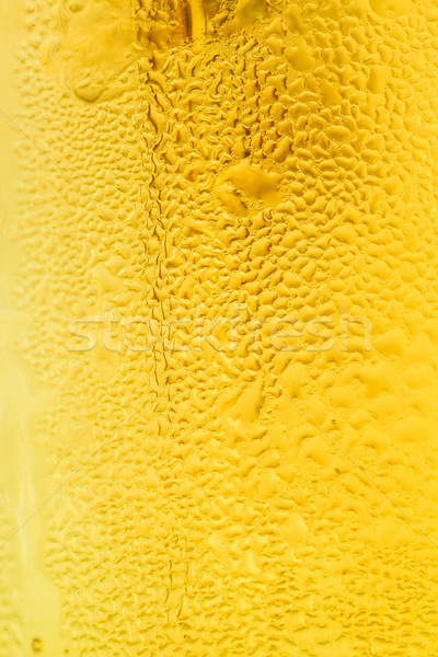 Ale üveg hideg ital közelkép étel szín Stock fotó © fogen