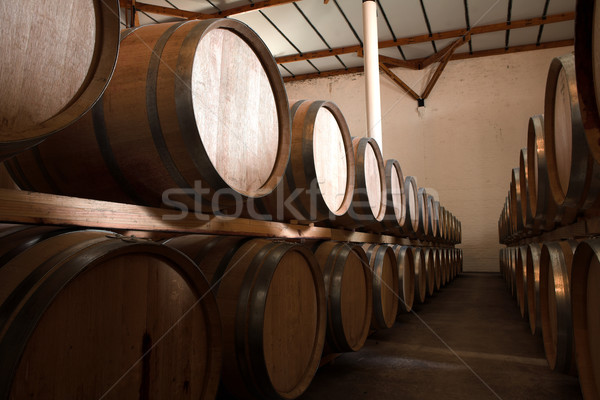 Oak barrels maturing red wine and brandy Stock photo © Forgiss