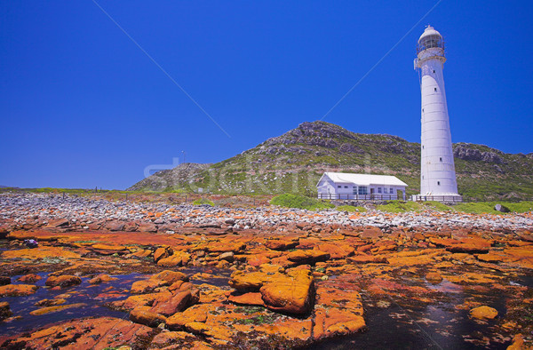 Slangkop Lighthouse Stock photo © Forgiss