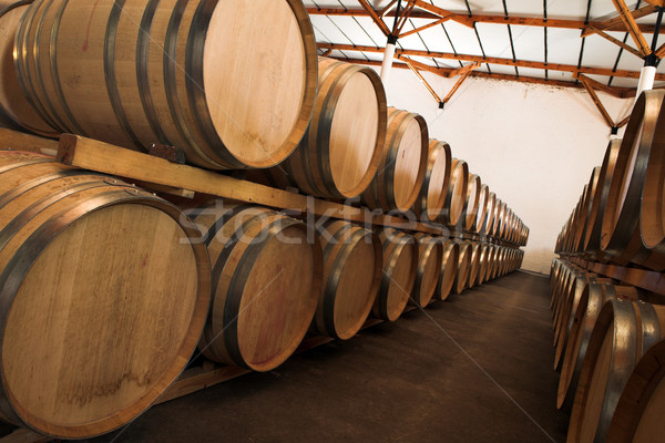 Barrels with wine Stock photo © Forgiss