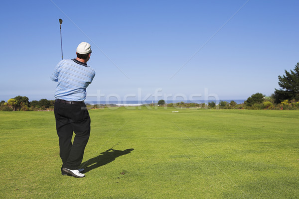 Zdjęcia stock: Golf · 19 · człowiek · gry · zielone · relaks
