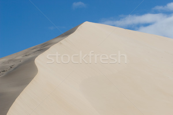 Stock photo: Dunes #8
