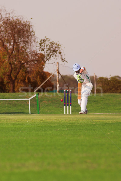 Cricket player hitting ball Stock photo © Forgiss