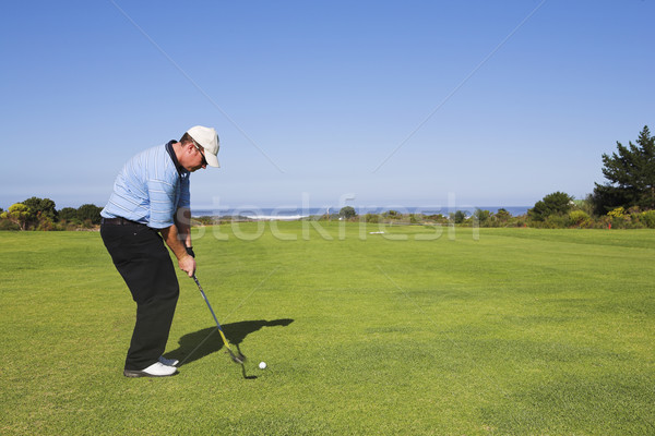 ストックフォト: ゴルフ · 男 · 演奏 · 緑 · リラックス · ボール