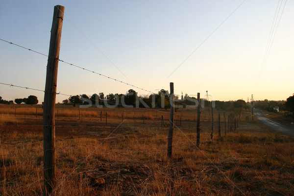 Barbed wire fence Stock photo © Forgiss