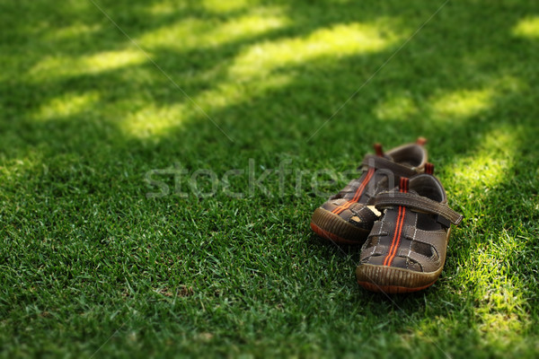 Buty pary dobrze sandały zielona trawa Zdjęcia stock © forgiss