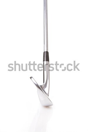 Palos de golf establecer profesional tradicional metal club Foto stock © Forgiss