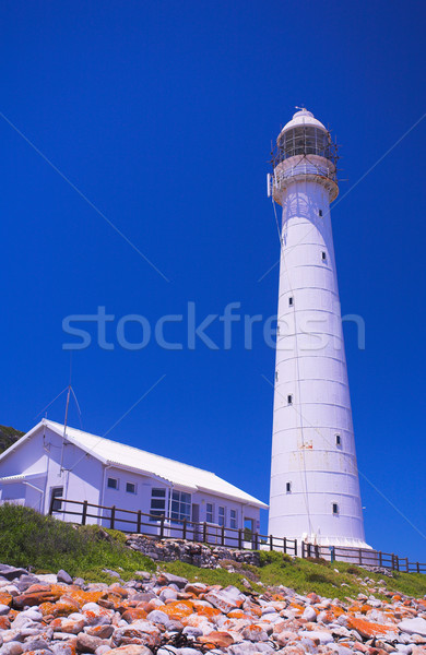 Slangkop Lighthouse Stock photo © Forgiss