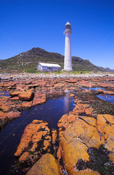 Slangkop Lighthouse Stock photo © Forgiss