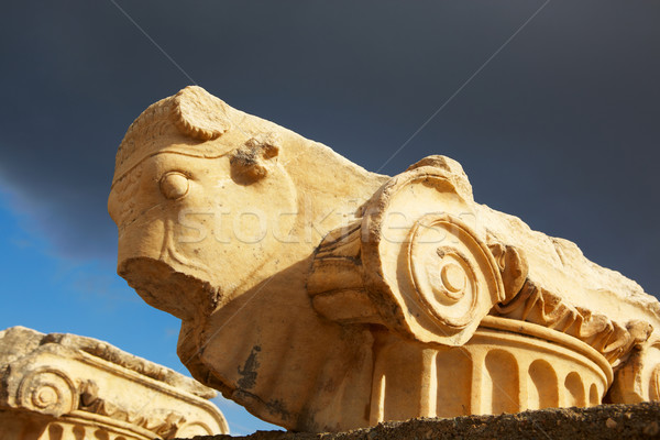 Ephesus in Turkey Stock photo © Forgiss