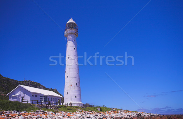 Slangkop Lighthouse Stock photo © Forgiss