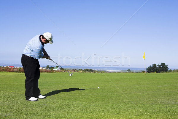 Zdjęcia stock: Golf · 12 · człowiek · gry · zielone · relaks