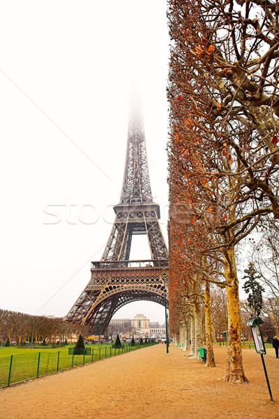 パリ 24 エッフェル塔 フランス コピースペース 自然 ストックフォト © Forgiss