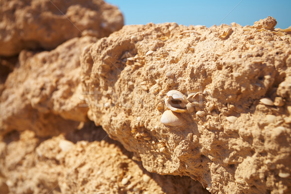 Rovine deserto originale di trading post pochi Foto d'archivio © forgiss