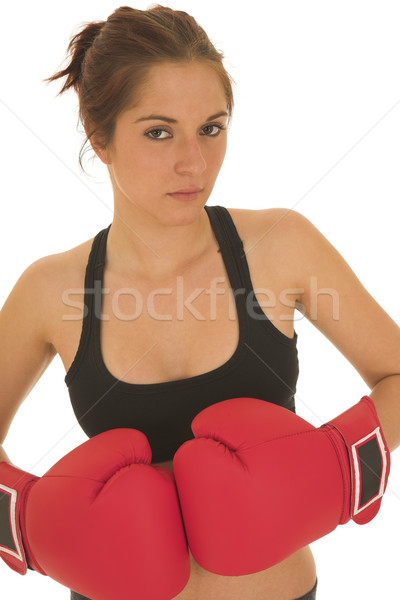 Boxer #05 Stock photo © Forgiss