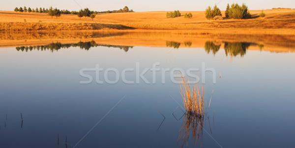 Krajobraz latać połowów jezioro płytki Zdjęcia stock © Forgiss