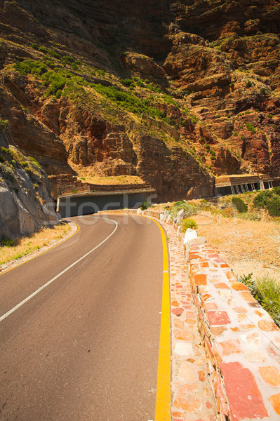 Chapmans Peak Stock photo © Forgiss