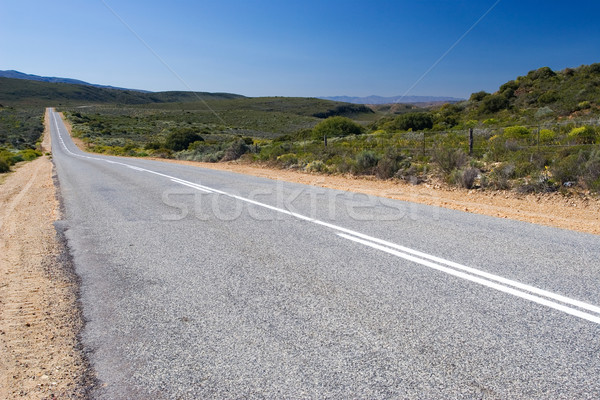 Roads #10 Stock photo © Forgiss