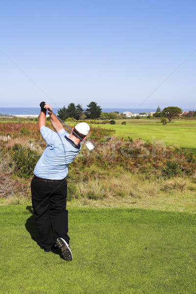 Zdjęcia stock: Golf · 17 · człowiek · gry · zielone · relaks