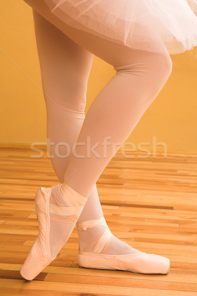 Ballerina #01 Stock photo © Forgiss