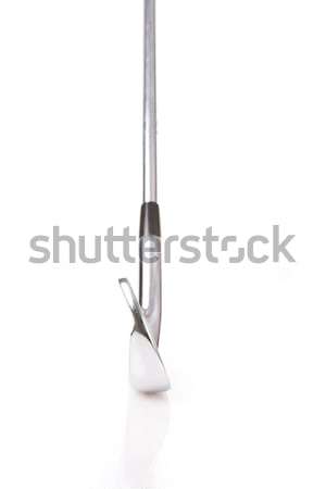 Golfclubs Set professionelle traditionellen Metall Club Stock foto © Forgiss