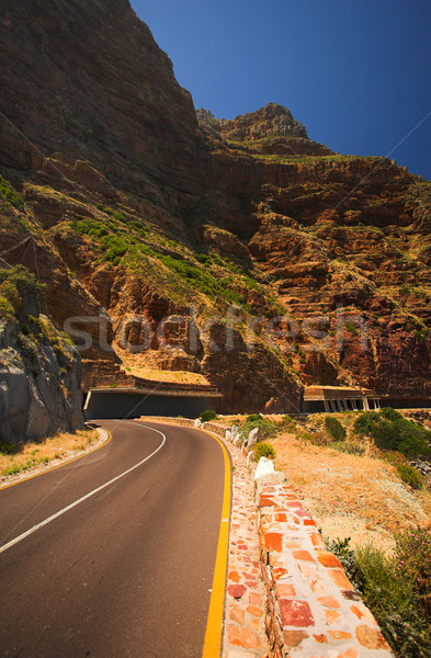 Chapmans Peak Stock photo © Forgiss