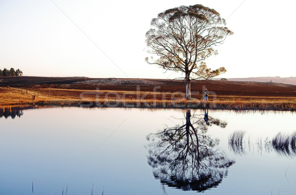 Foto stock: Volar · pescador · línea · Sudáfrica · hierba · hombre