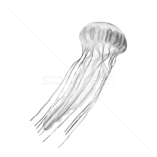Jellyfish 3D stylu wydruku tshirt czarny Zdjęcia stock © Fosin