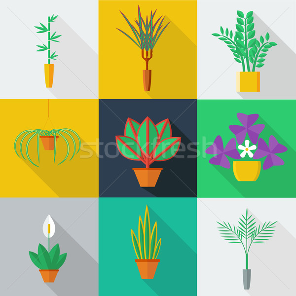Ilustracja biuro roślin puli stylu Zdjęcia stock © Fosin