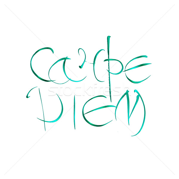 Carpe diem. Latin translation seize the moment. Hand-lettering calligraphy. Stock photo © Fosin