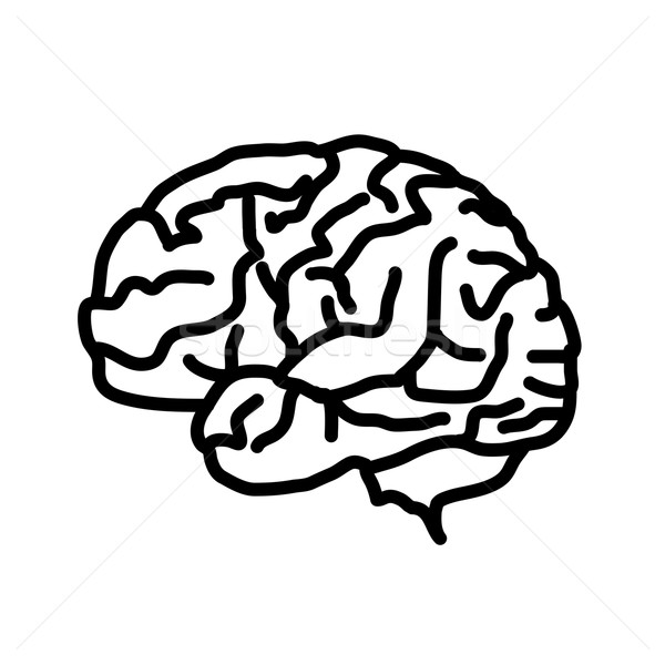 Brain icon isolated on white background. Stock photo © Fosin