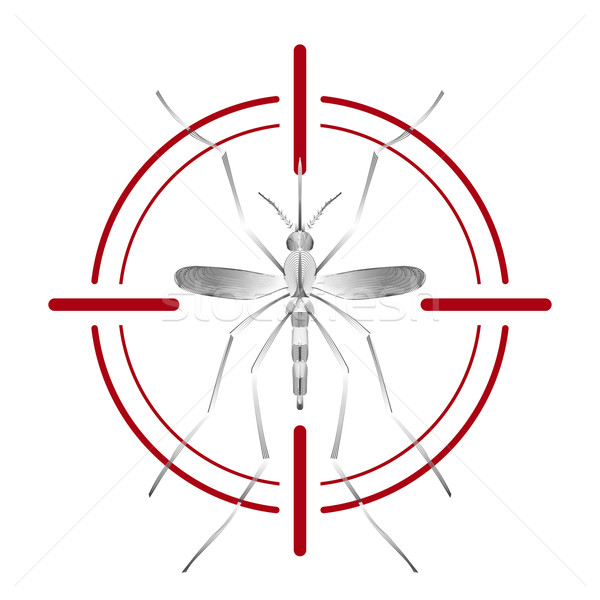Fever mosquito species aedes aegyti in red aim isolated on white background Stock photo © Fosin