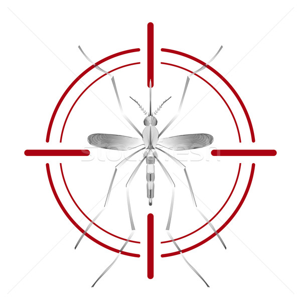 Foto stock: Febre · mosquito · espécies · vermelho · isolado