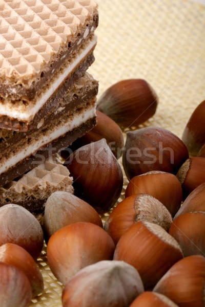 [[stock_photo]]: Photo · design · fruits · shell · blanche