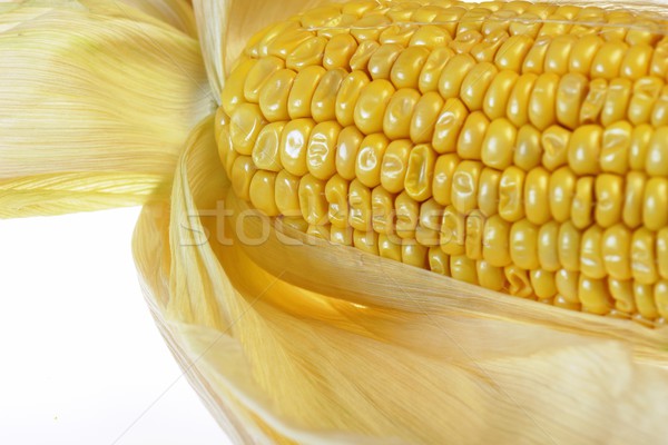 Mais natuur groene energie eten koken Stockfoto © Fotaw