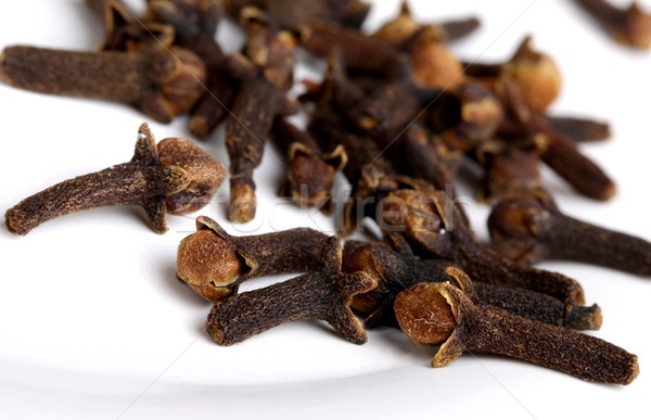 Stock photo:  clove