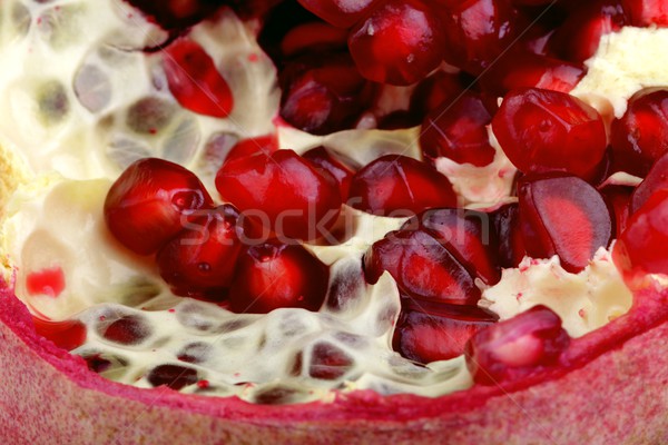Coração jardim vermelho tropical suco agricultura Foto stock © Fotaw