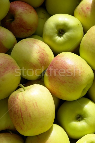 Appels natuur Rood zoete Stockfoto © Fotaw