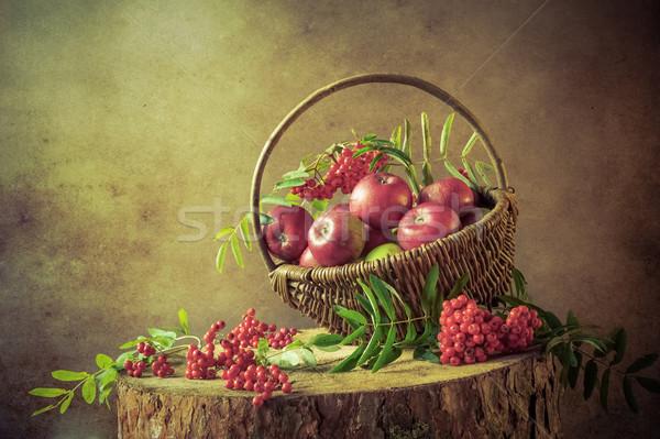 A basket full apples rowan sunset Still Life Stock photo © fotoaloja