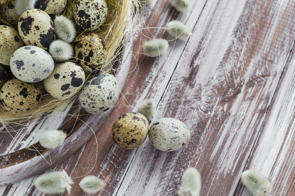 Easter background quail eggs catkins wooden table Stock photo © fotoaloja
