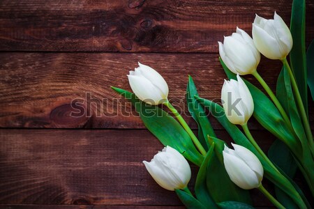 Art résumé printemps tulipes bois design [[stock_photo]] © fotoaloja
