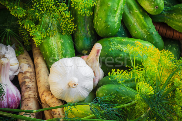 Foto d'archivio: Ingredienti · preparazione · cetrioli · farm · mercato · impianto