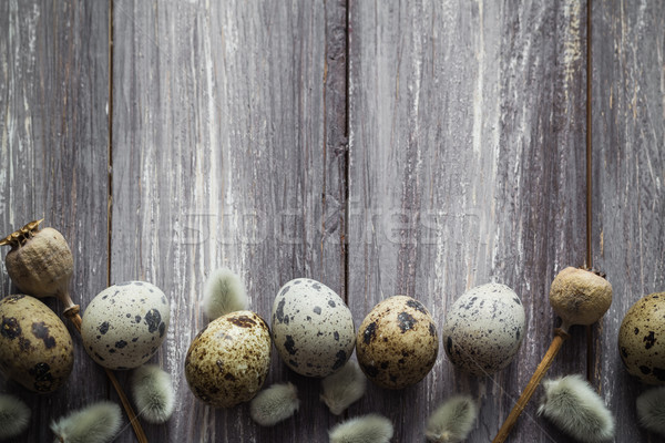 Easter background quail eggs catkins wooden table Stock photo © fotoaloja