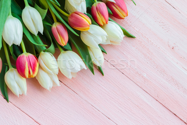 Art résumé printemps tulipes bois design [[stock_photo]] © fotoaloja